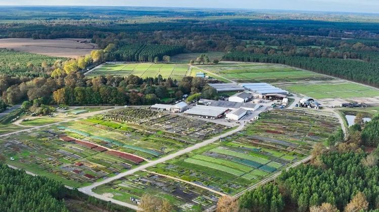 Planfor gère environ 10 000 hectares de forêt landaise pour des clients